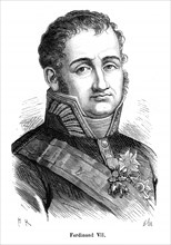 Ferdinand VII (1784-1833) fut roi d'Espagne en 1808 et de 1814 à 1833. Fils du roi d'Espagne