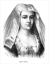 Agnès Sorel. Agnès Sorel est née au début du XVe siècle, fort probablement dans les années 1420.