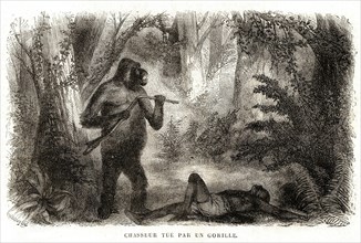1864. Afrique. Chasseur tué par un gorille.