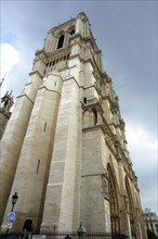 Cathédrale Notre Dame of Paris