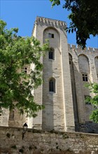 Palace of popes of avignon