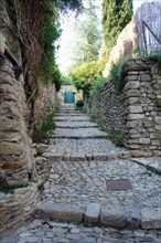 Medieval city of Vaison la Romaine