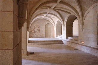 L'abbaye de Fontevraud