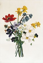 Prévost, Bouquet de Narcisses et d'Anémones