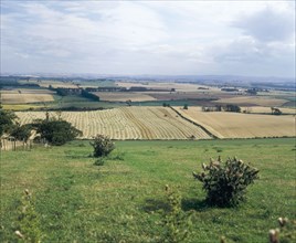 Flodden Field, site of Battle of Flodden 1513, Northumberland, 1994