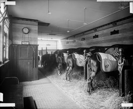 Stables in North Audley Street, Westminster, London, 1890