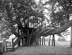 A half-timbered tree house, Pitchford Hall, Shropshire, 1959