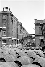 Warehouses at the Wine Gauging Ground, North Quay, London Docks, c1945-c1965
