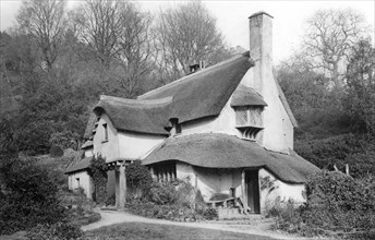 A thatched cottage at Selworthy Green, Selworthy, Somerset, c1900