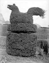 Sitting bird topiary at Sedlescombe, East Sussex, 1916