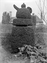 Teapot topiary at Sedlescombe, East Sussex, 1916