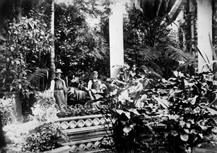 Gardeners in the Conservatory, Castle Ashby, Northamptonshire, 1889