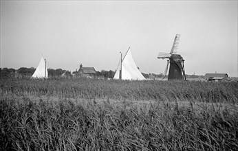 Two yachts under sail seen over the reed beds near East Tunstall Mill, Norfolk, 1934