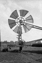 Fan staging on a windmill at Tottenhill in Norfolk, 1936