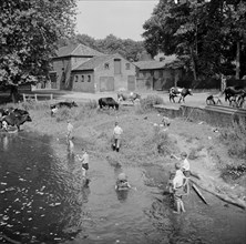 Children fishing in the River Wensum near Costessey, Norfolk, 1950