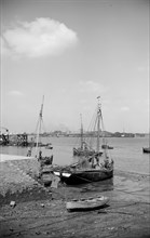 Fishing boats moored at Gravesend, Kent, c1945-c1965