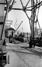 Dock workers and cargo, Royal Victoria Dock, London, c1945-c1965