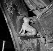 Carving of a rabbit in All Saints' church, Necton, Norfolk, 1967