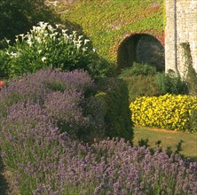 The gardens at Walmer Castle, Deal, Kent, 1996