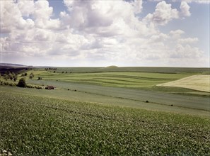 Valley near Enford, Wiltshire, 1999