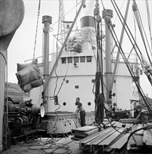 Loading a ship at the North Quay, West India Docks, London, c1945-c1965