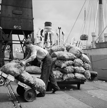 Sacks of vegetables being loaded onto a ship in London docks, c1945-c1965