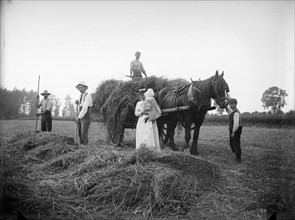 Farm labourers, Warden Hill, Northamptonshire, 1902