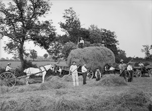Haymaking near Byfield, Northamptonshire, 1908