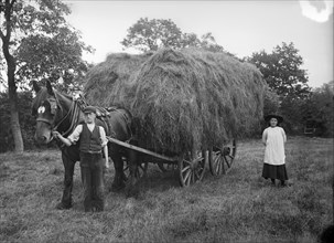 A hay waggon near Hellidon, Northamptonshire, c1896-c1920