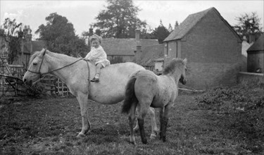 Child, horse and pony, Snitterfield, Warwickshire, c1896-c1920