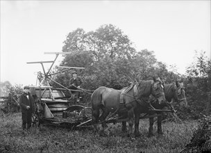 Harvesting machine, Hellidon, Northamptonshire, c1896-c1920
