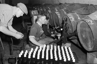 Port wine being bottled from the barrel at the Cutler Street warehouses, London, c1945-c1965