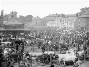 The cattle market at Gloucester Green, Oxford, Oxfordshire, c1860-c1922
