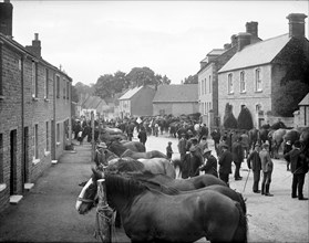 Bampton Horse Fair, Bampton, Oxfordshire, 1904