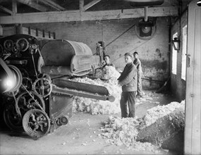 Workers at Earley's Blanket Factory, Witney, Oxfordshire, c1860-c1922