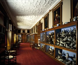 Picture Gallery, Audley End House, Essex, 1985