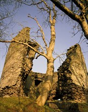 The keep with trees, Longtown Castle, Herefordshire, 1992