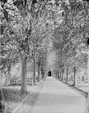 An avenue of lime trees leading to Holy Trinity Church, Stratford-upon-Avon, c1860-c1922
