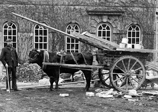 Workman posing outside a house with a bullock cart, Kingston Lisle, Oxfordshire, c1860-c1922