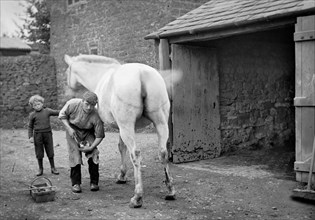A farrier shoes a horse at Hellidon, Northamptonshire, c1873-c1923