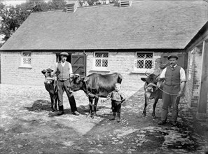 Farm labourers pose with cattle at Grendon Underwood, Buckinghamshire, c1873-c1923