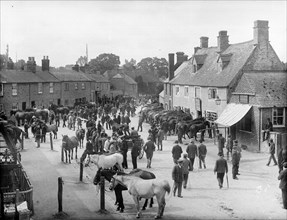 Horse Fair at Bampton, Oxfordshire, 1904