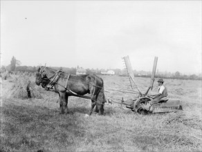 Harvesting in Oxfordshire, c1860-c1922