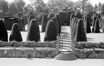 Yew Garden, Packwood House, Lapwood, Warwickshire, 1945-1980