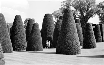 Yew Garden, Packwood House, Lapwood, Warwickshire, 1945-1980