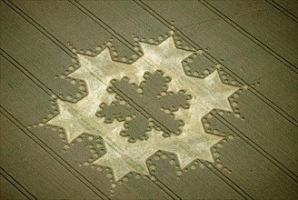 Snowflake' crop circle near Alton Barnes, Wiltshire, 1997