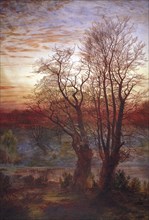 'Burnham Beeches', c1841-1902. Artist: Andrew MacCallum