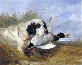 'Dog with Wild Duck', 19th century. Artist: Richard Ansdell