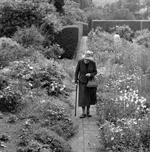 An elderly lady walking in a flower garden in Aldeburgh, Suffolk,1956