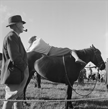 A pony on Exmoor, Somerset, c1946-c1959
